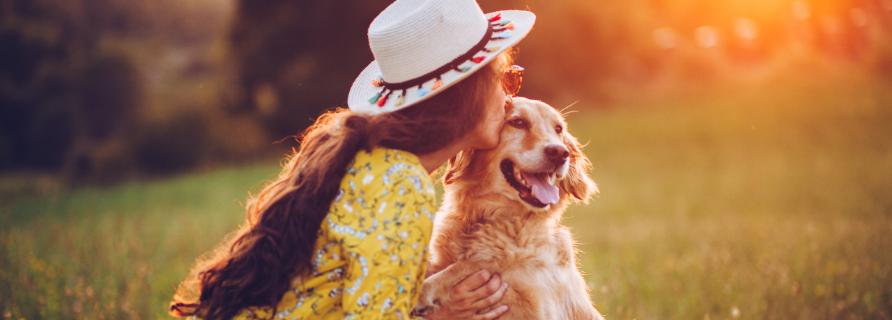 Paw-some Summer Fun in Dallas