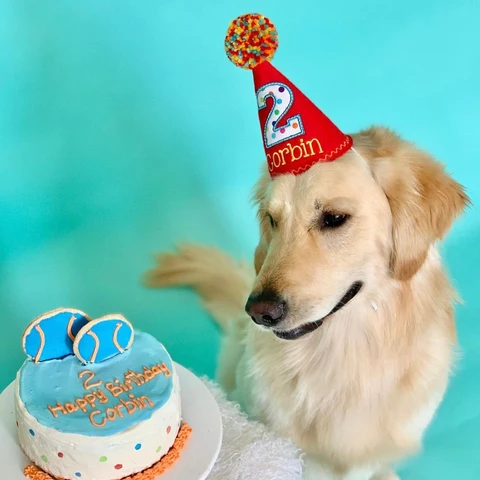 Dog Cakes | Dallas | Plano | Dog Moms | Pupcakes 