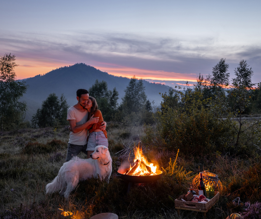 How To Successfully Camp With Your Dog And Places Near Dallas, TX To Camp