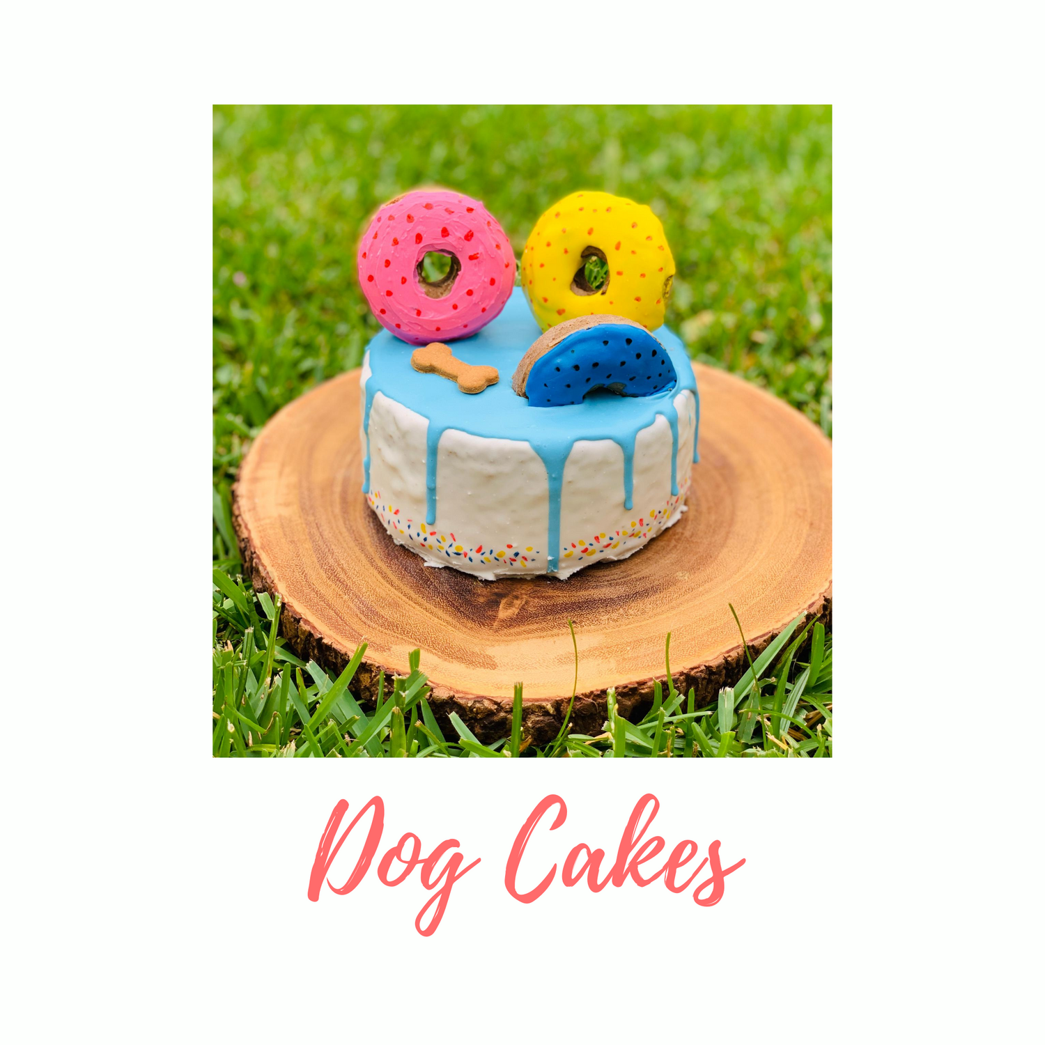 Dog Cakes